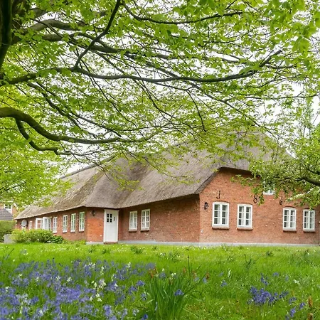 Paule Bo Tatil Evi *